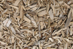 biomass boilers Pitts